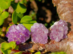 Natural Mini Amethyst Clusters x 70 From Ambatondrazaka, Madagascar - Toprock Gemstones and Minerals 