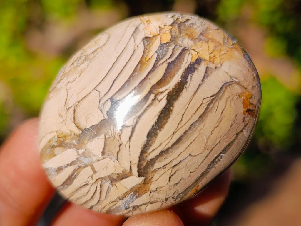Polished Ocean Jasper Palm Stones x 24 From Northwest Coast, Madagascar - Toprock Gemstones and Minerals 