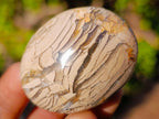Polished Ocean Jasper Palm Stones x 24 From Northwest Coast, Madagascar - Toprock Gemstones and Minerals 