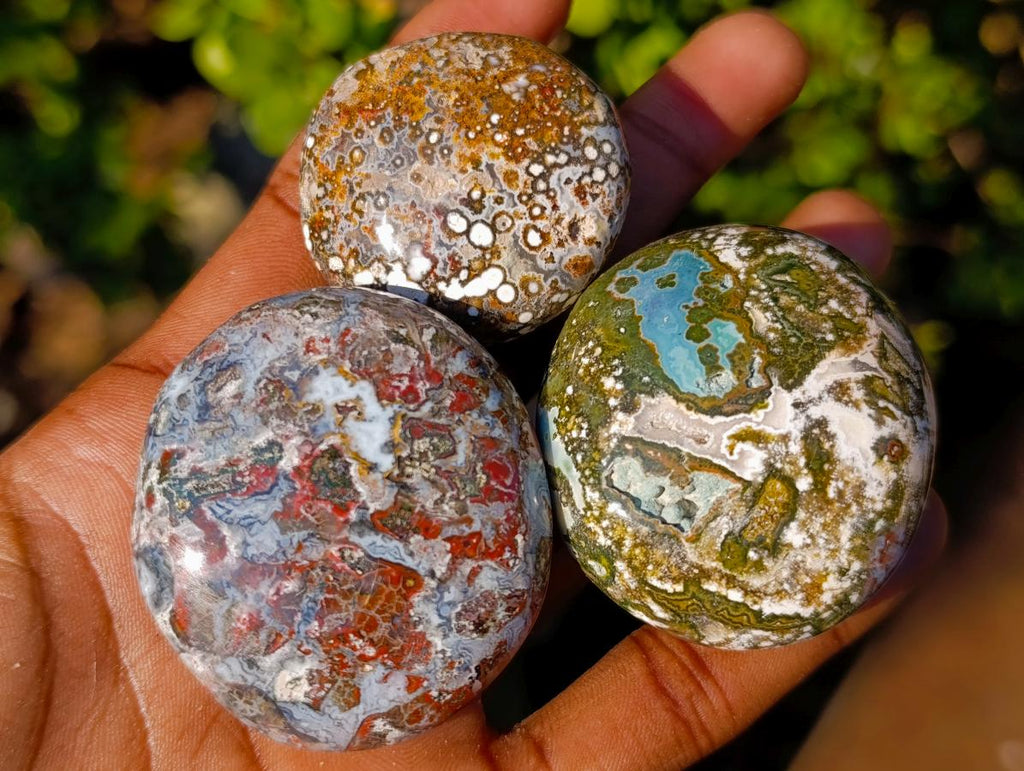 Polished Ocean Jasper Palm Stones x 24 From Northwest Coast, Madagascar - Toprock Gemstones and Minerals 
