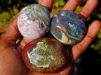 Polished Ocean Jasper Palm Stones x 24 From Northwest Coast, Madagascar - Toprock Gemstones and Minerals 