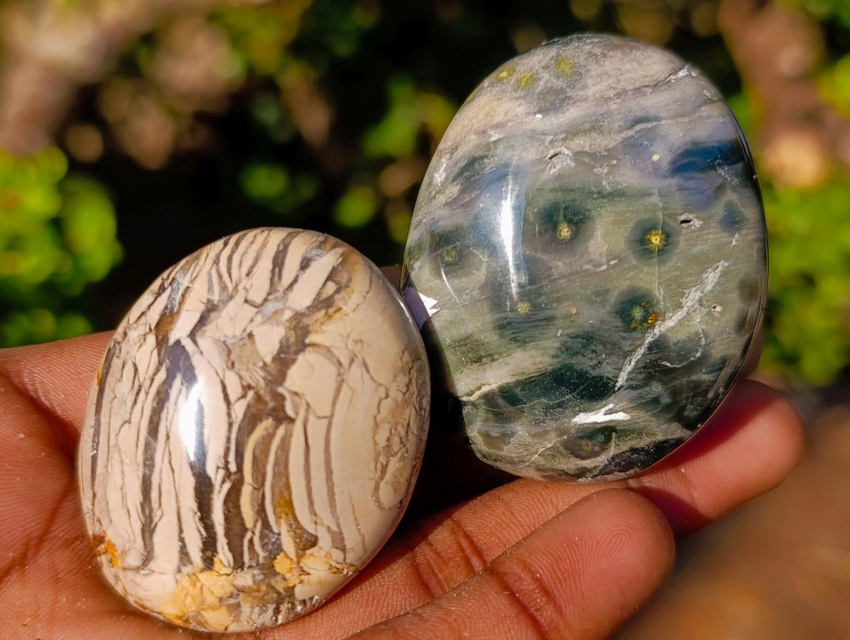 Polished Ocean Jasper Palm Stones x 24 From Northwest Coast, Madagascar - Toprock Gemstones and Minerals 