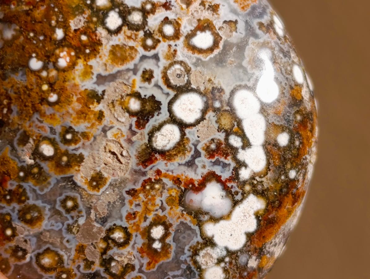 Polished Ocean Jasper Palm Stones x 24 From Northwest Coast, Madagascar - Toprock Gemstones and Minerals 
