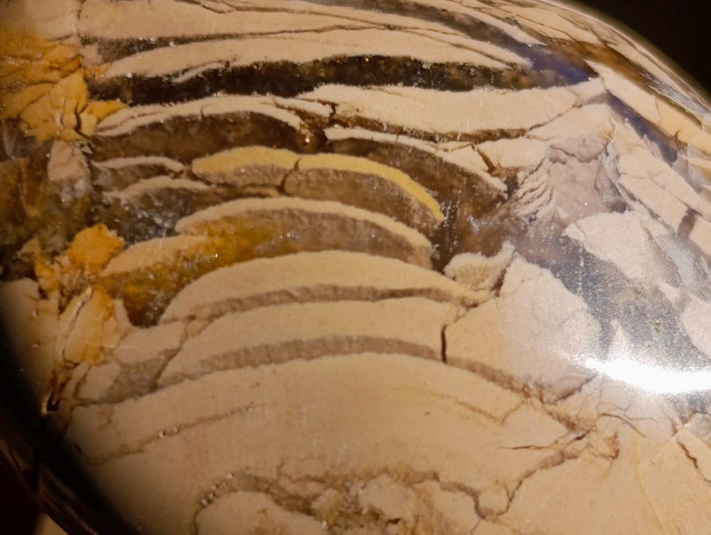 Polished Ocean Jasper Palm Stones x 24 From Northwest Coast, Madagascar - Toprock Gemstones and Minerals 