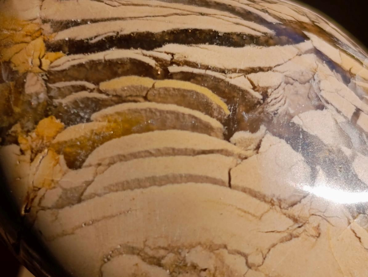 Polished Ocean Jasper Palm Stones x 24 From Northwest Coast, Madagascar - Toprock Gemstones and Minerals 