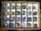 Polished Ocean Jasper Palm Stones x 24 From Northwest Coast, Madagascar - Toprock Gemstones and Minerals 