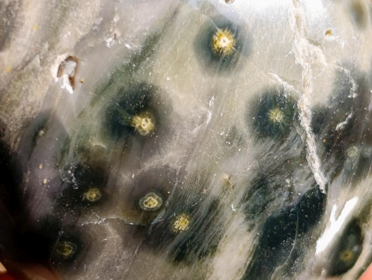 Polished Ocean Jasper Palm Stones x 24 From Northwest Coast, Madagascar - Toprock Gemstones and Minerals 
