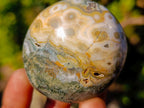 Polished Ocean Jasper Palm Stones x 24 From Northwest Coast, Madagascar - Toprock Gemstones and Minerals 