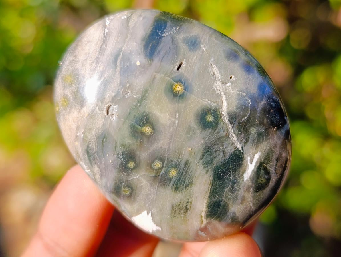 Polished Ocean Jasper Palm Stones x 24 From Northwest Coast, Madagascar - Toprock Gemstones and Minerals 