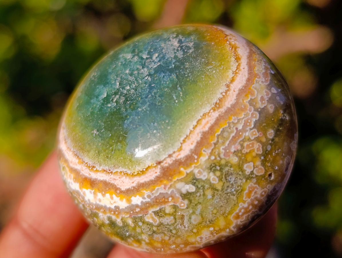 Polished Ocean Jasper Palm Stones x 24 From Northwest Coast, Madagascar - Toprock Gemstones and Minerals 