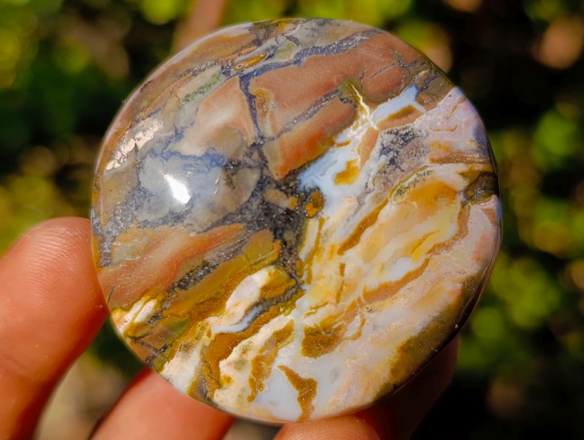 Polished Ocean Jasper Palm Stones x 24 From Northwest Coast, Madagascar - Toprock Gemstones and Minerals 