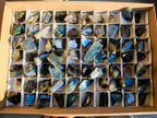 Polished One Side Labradorite Slices x 70 From Madagascar - Toprock Gemstones and Minerals 