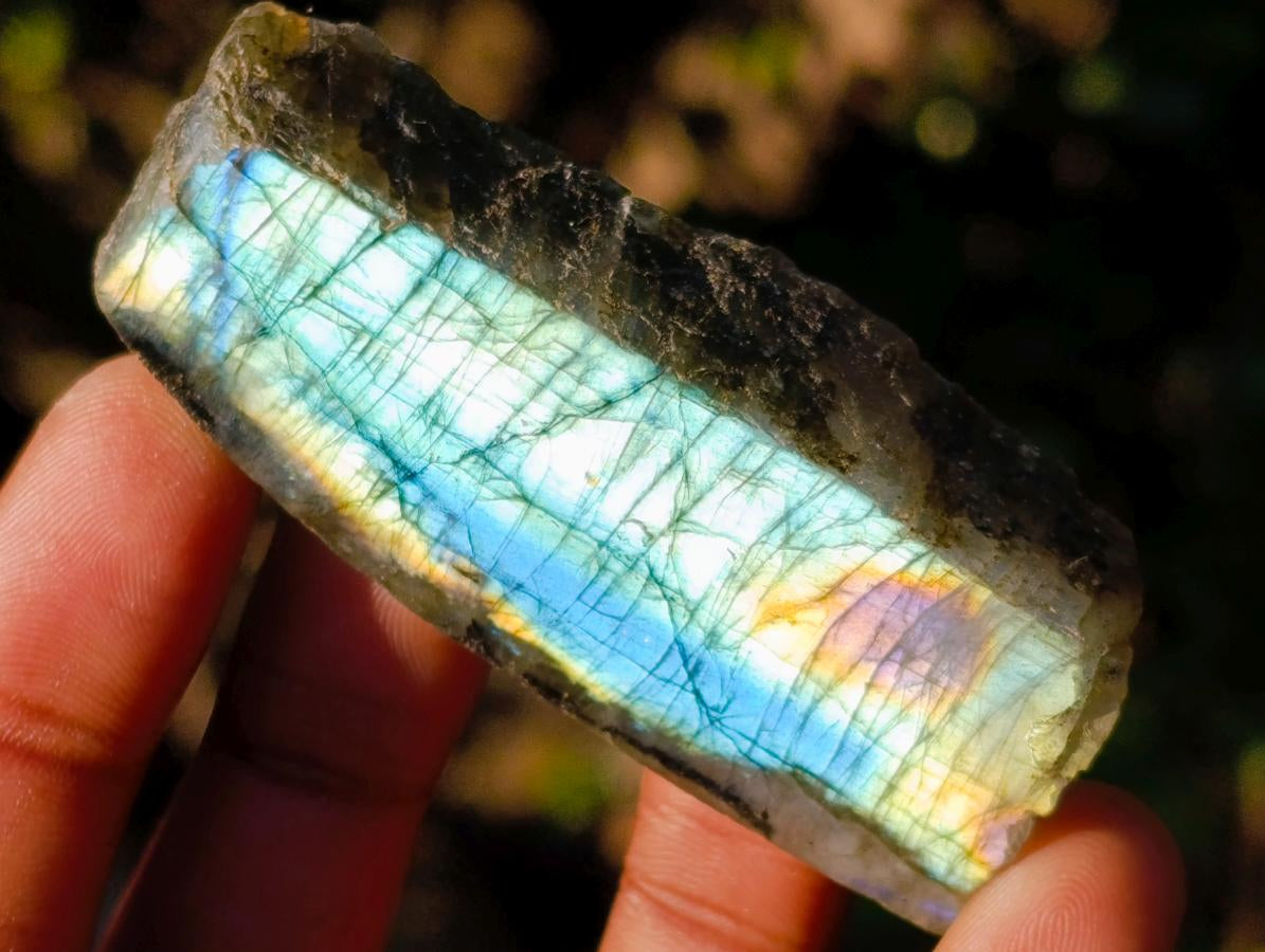 Polished One Side Labradorite Slices x 70 From Madagascar - Toprock Gemstones and Minerals 