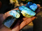 Polished One Side Labradorite Slices x 70 From Madagascar - Toprock Gemstones and Minerals 
