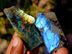 Polished One Side Labradorite Slices x 70 From Madagascar - Toprock Gemstones and Minerals 