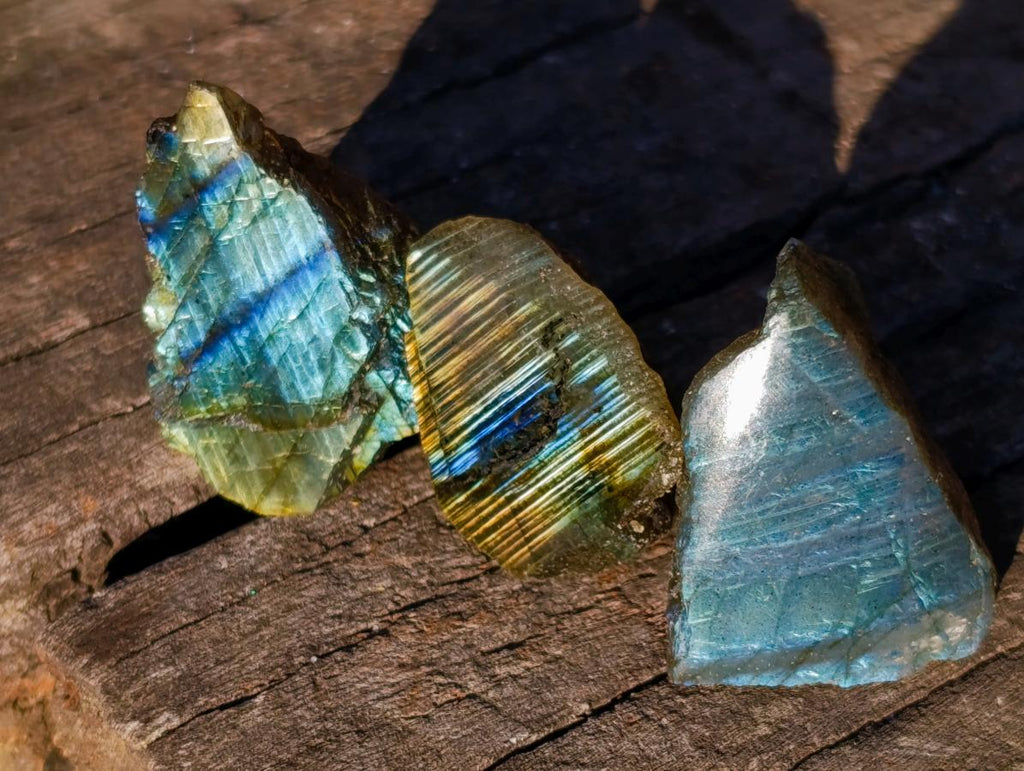 Polished One Side Labradorite Slices x 70 From Madagascar - Toprock Gemstones and Minerals 