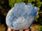 Polished Blue Celestite Geode Standing Display Pieces x 2 From Sakoany, Madagascar - Toprock Gemstones and Minerals 