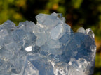 Polished Blue Celestite Geode Standing Display Pieces x 2 From Sakoany, Madagascar - Toprock Gemstones and Minerals 