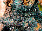 Natural Crystalline Malachite Specimens x 4 From Tenke Fungurume, Congo - Toprock Gemstones and Minerals 