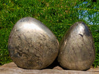 Polished Basalt Pharaoh Stone Galets x 6 From Iron Duke Mine, Zimbabwe - Toprock Gemstones and Minerals 