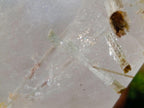 Polished Large Quartz Crystal with Inclusions x 1 From Madagascar - Toprock Gemstones and Minerals 