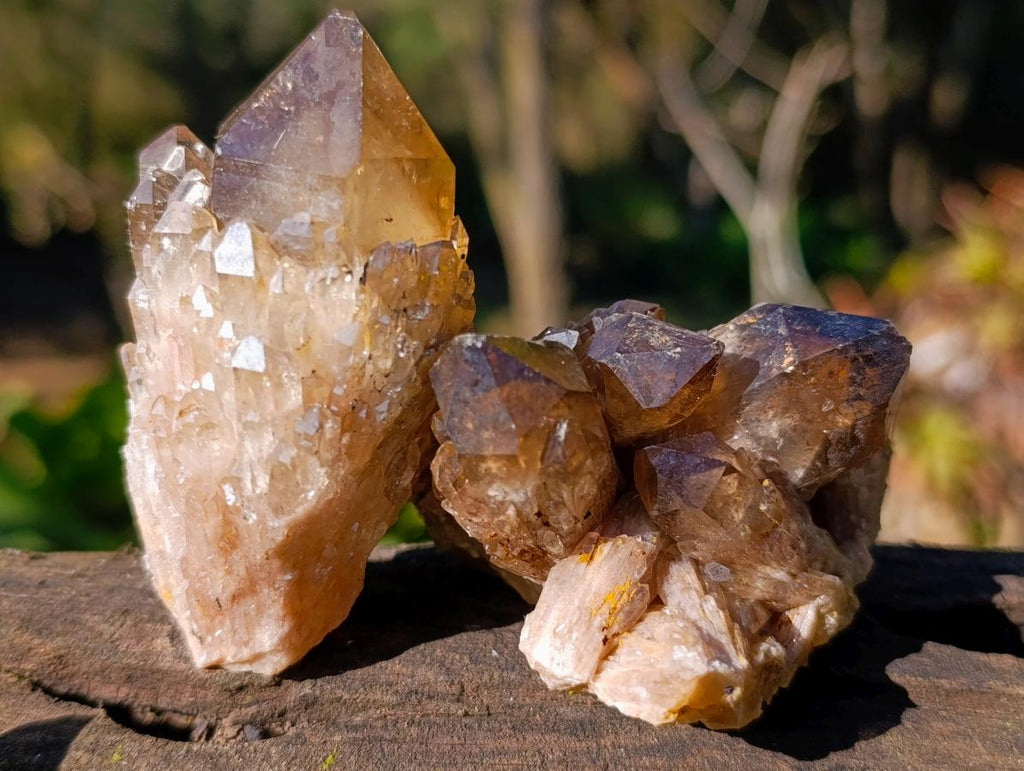 Natural Smokey Luena Quartz Crystals and Clusters x 6 From Luena, Congo - Toprock Gemstones and Minerals 