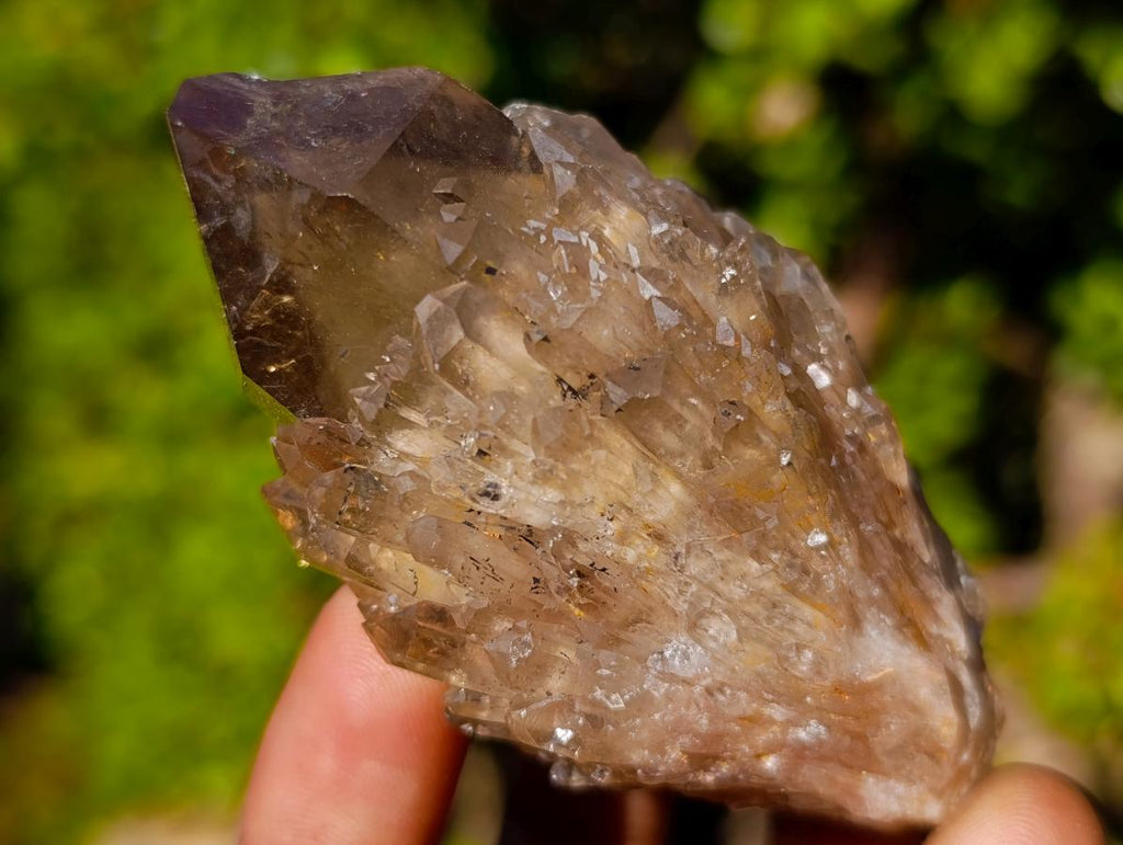 Natural Smokey Luena Quartz Crystals and Clusters x 6 From Luena, Congo - Toprock Gemstones and Minerals 