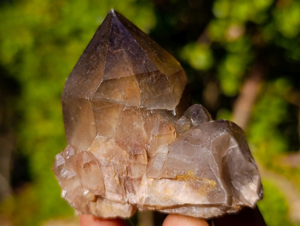 Natural Smokey Luena Quartz Crystals and Clusters x 6 From Luena, Congo - Toprock Gemstones and Minerals 