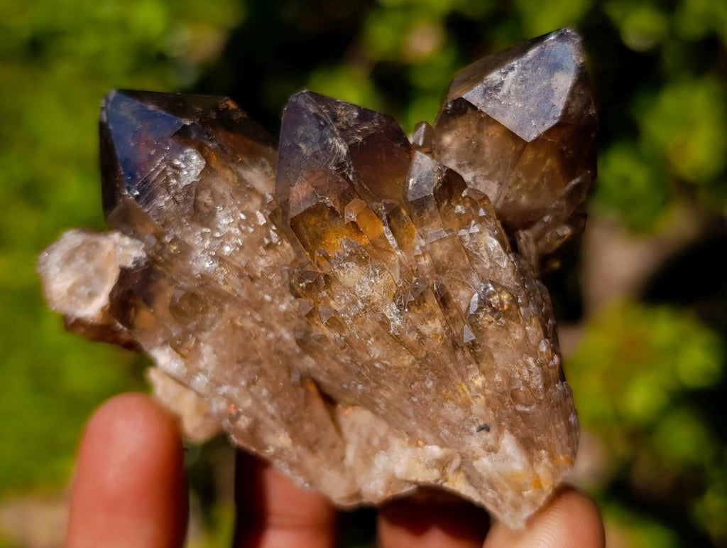 Natural Smokey Luena Quartz Crystals and Clusters x 6 From Luena, Congo - Toprock Gemstones and Minerals 