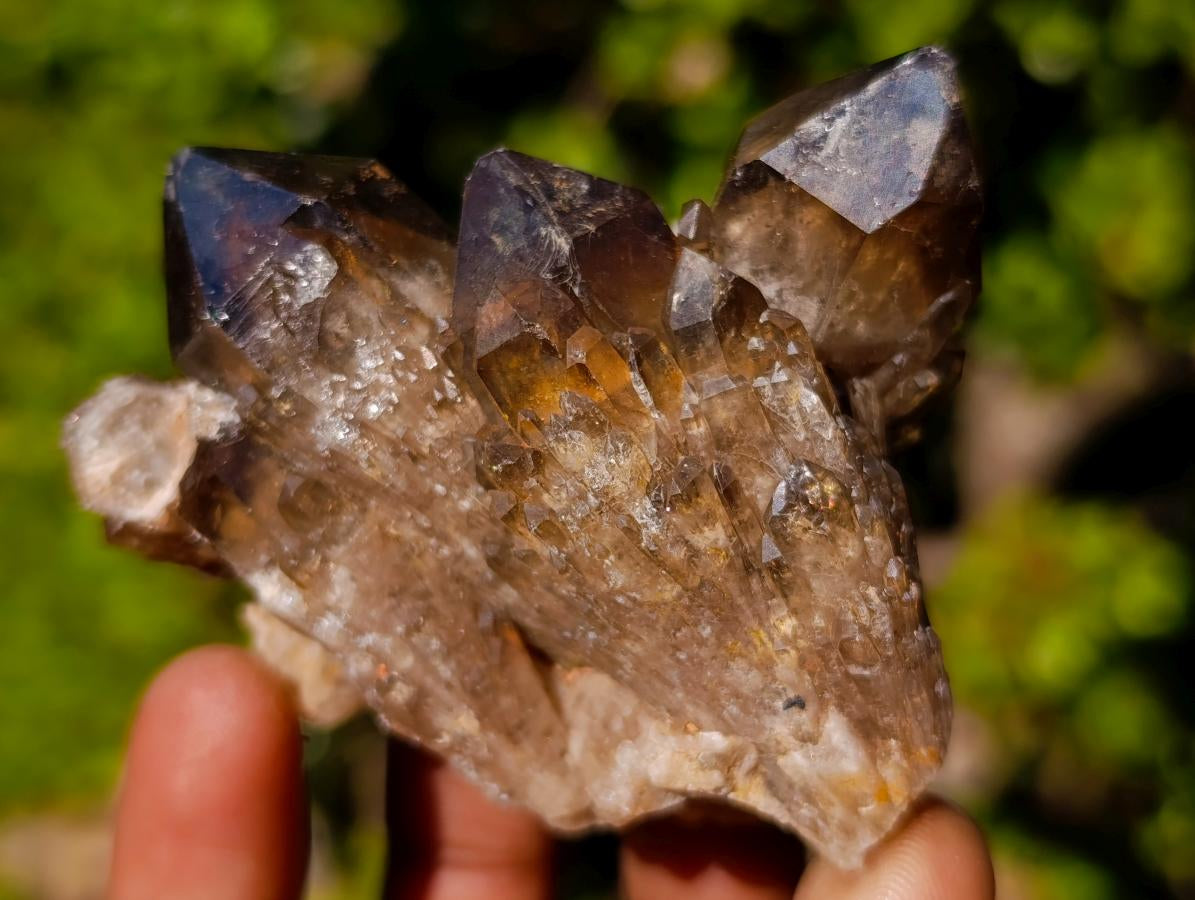 Natural Smokey Luena Quartz Crystals and Clusters x 6 From Luena, Congo - Toprock Gemstones and Minerals 