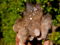 Natural Smokey Luena Quartz Crystals and Clusters x 6 From Luena, Congo - Toprock Gemstones and Minerals 