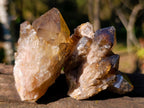 Natural Smokey Luena Quartz Crystals and Clusters x 6 From Luena, Congo - Toprock Gemstones and Minerals 