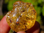 Natural Copal Amber Specimens with Insect and Plant Inclusions x 22 From Lemur Island, Madagascar - Toprock Gemstones and Minerals 