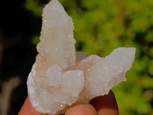 Natural Drusy Fairy Spirit Quartz Crystals x 31 From Boekenhouthoek, South Africa - Toprock Gemstones and Minerals 