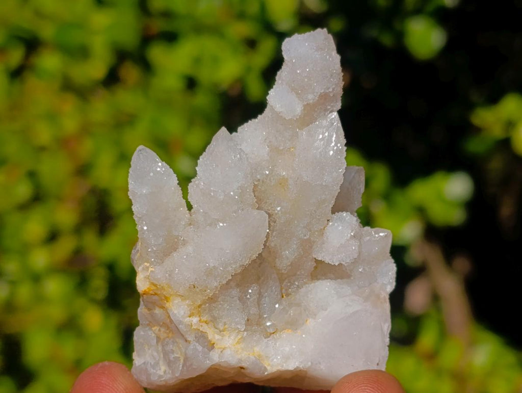 Natural Drusy Fairy Spirit Quartz Crystals x 31 From Boekenhouthoek, South Africa - Toprock Gemstones and Minerals 