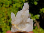 Natural Drusy Fairy Spirit Quartz Crystals x 31 From Boekenhouthoek, South Africa - Toprock Gemstones and Minerals 