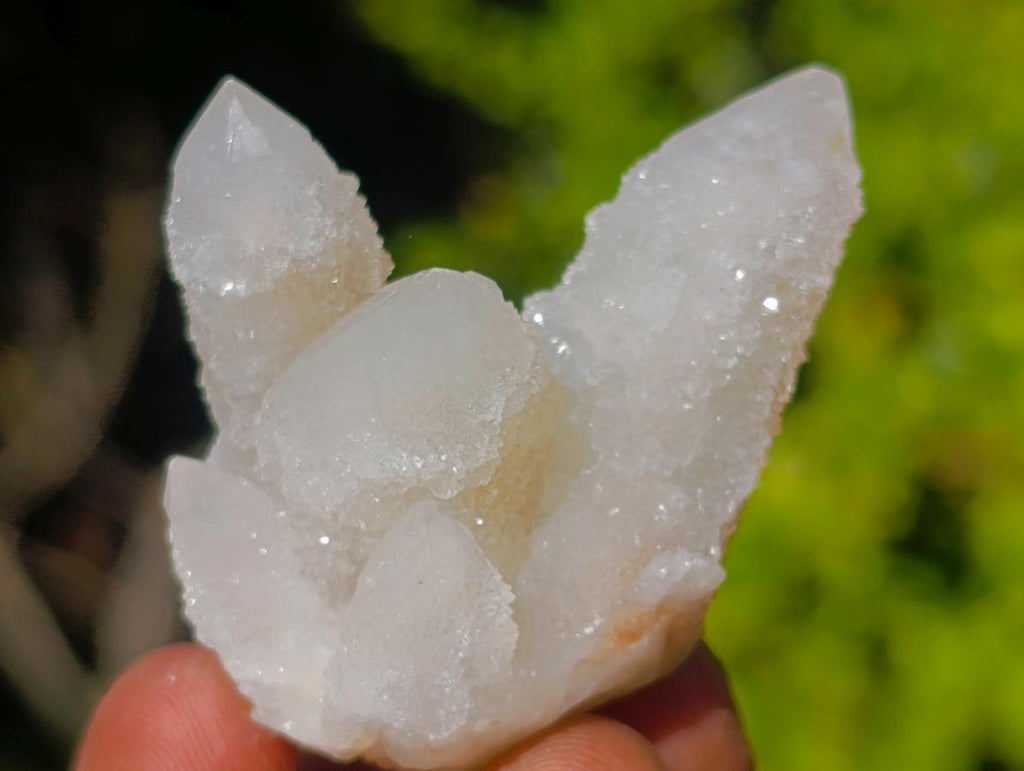 Natural Drusy Fairy Spirit Quartz Crystals x 31 From Boekenhouthoek, South Africa - Toprock Gemstones and Minerals 