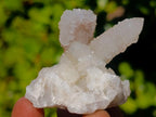 Natural Drusy Fairy Spirit Quartz Crystals x 31 From Boekenhouthoek, South Africa - Toprock Gemstones and Minerals 