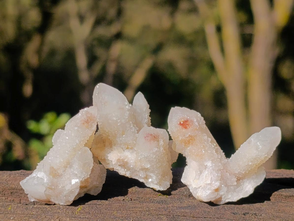 Natural Drusy Fairy Spirit Quartz Crystals x 31 From Boekenhouthoek, South Africa - Toprock Gemstones and Minerals 