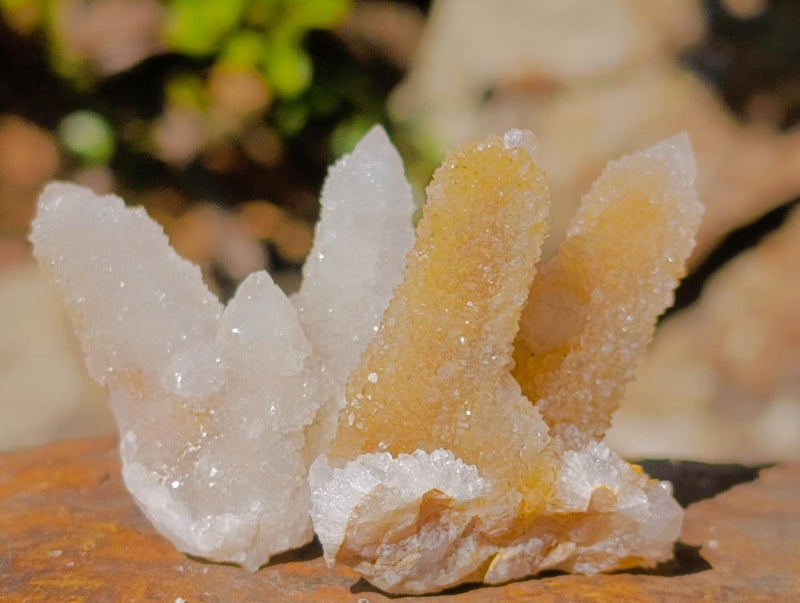 Natural Drusy Fairy Spirit Quartz Crystals x 31 From Boekenhouthoek, South Africa - Toprock Gemstones and Minerals 