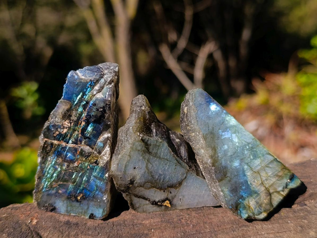 Polished One Side Labradorite Slices x 35 From Madagascar - Toprock Gemstones and Minerals 