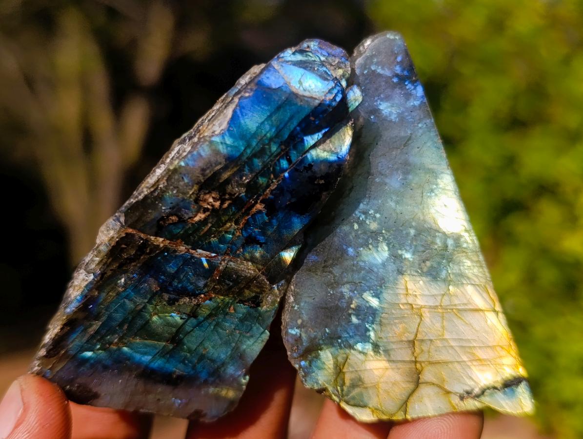 Polished One Side Labradorite Slices x 35 From Madagascar - Toprock Gemstones and Minerals 