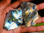 Polished One Side Labradorite Slices x 35 From Madagascar - Toprock Gemstones and Minerals 