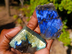 Polished One Side Labradorite Slices x 35 From Madagascar - Toprock Gemstones and Minerals 