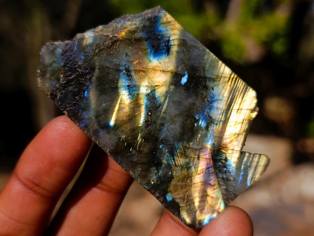 Polished One Side Labradorite Slices x 35 From Madagascar - Toprock Gemstones and Minerals 