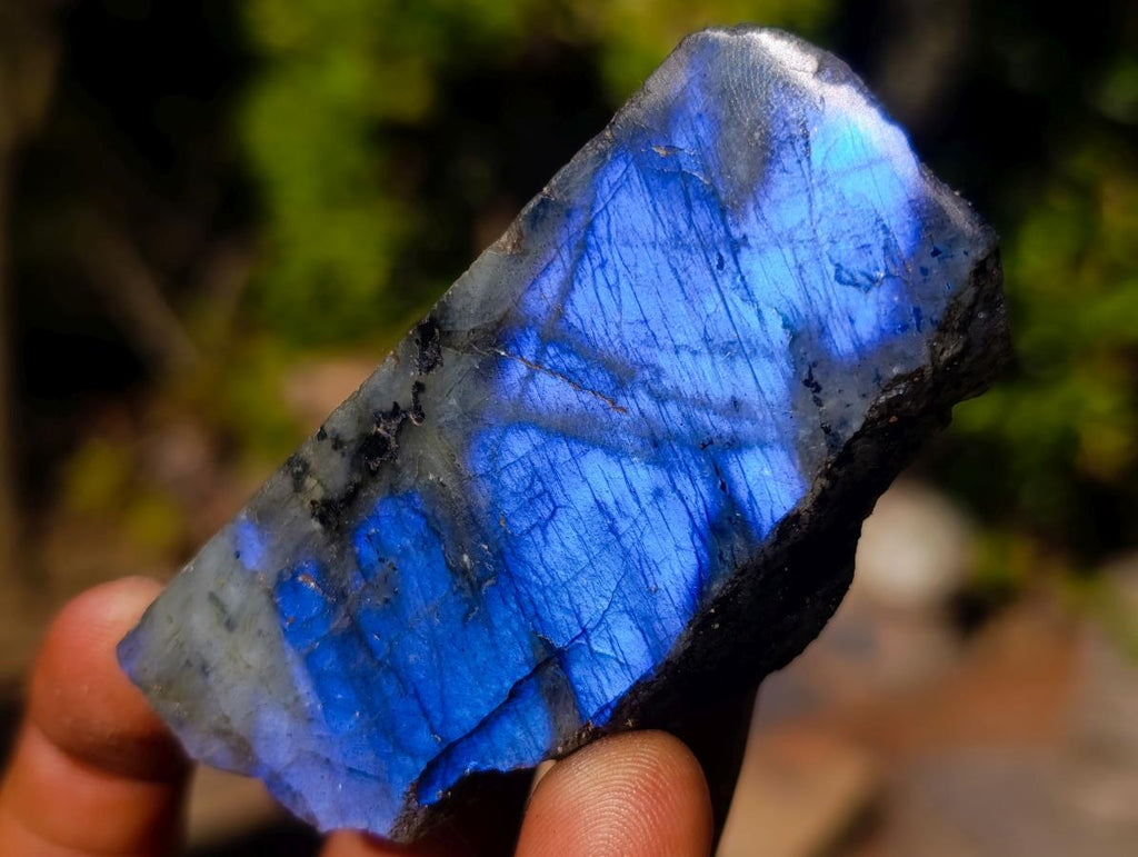 Polished One Side Labradorite Slices x 35 From Madagascar - Toprock Gemstones and Minerals 