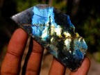 Polished One Side Labradorite Slices x 35 From Madagascar - Toprock Gemstones and Minerals 