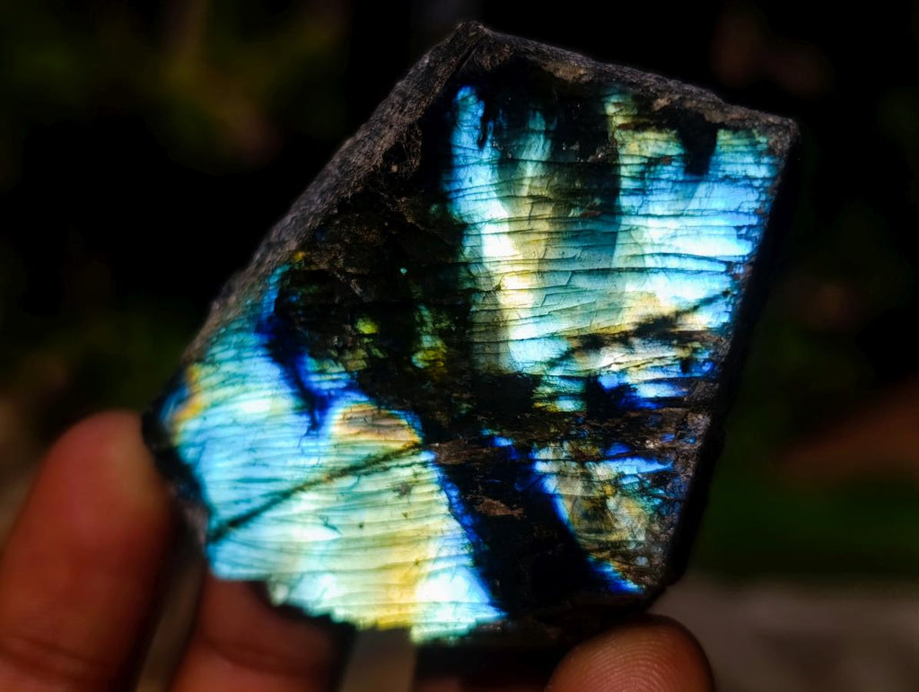Polished One Side Labradorite Slices x 35 From Madagascar - Toprock Gemstones and Minerals 