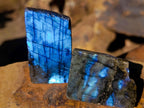 Polished One Side Labradorite Slices x 35 From Madagascar - Toprock Gemstones and Minerals 