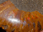 Polished Cleoniceras Ammonite Fossil Pairs x 12 From Tulear, Madagascar - Toprock Gemstones and Minerals 
